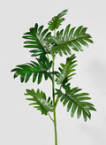 35.5in Long Philodendron Leaf Spray, Case of 12 Decor Jamali Garden
