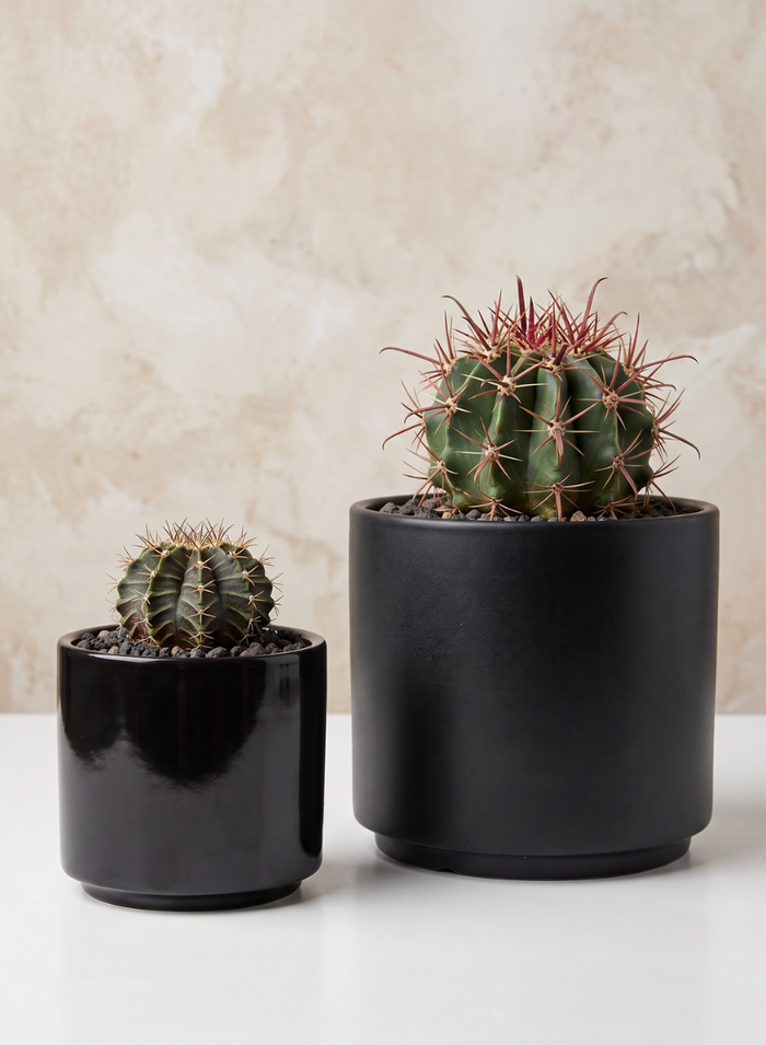 3.5in Tall Florist Choice Gloss Black Ceramic Cylinder, Set of 6 Decor Jamali Garden