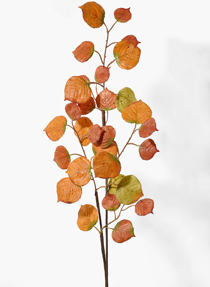 37in Long Birch Spray , Case of 12 Decor Jamali Garden