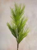 37in Long Light Green Eastern White Pine Pick, Case of 12 Decor Jamali Garden