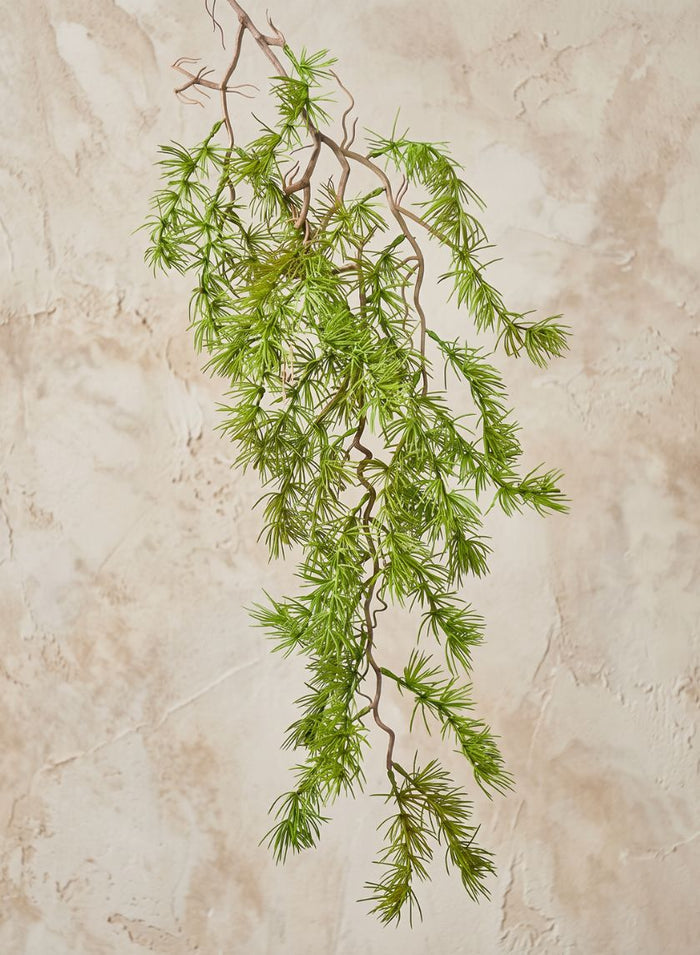 39in Long Larch Branch, Case of 12 Decor Jamali Garden