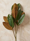 39in Long Magnolia Leaf Spray, Case of 12 Decor Jamali Garden