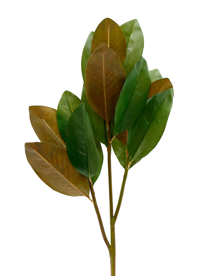 39in Long Magnolia Leaf Spray, Case of 12 Decor Jamali Garden