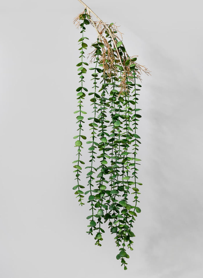 39in Long Mini Eucalyptus Hanging, Case of 12 Decor Jamali Garden