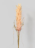 42in Long Beige Pampas Grass Reed, Case of 12 Decor Jamali Garden