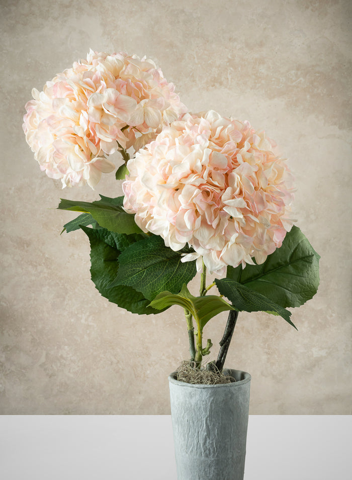 42in Long Light Pink Real Touch Mophead Hydrangea Stem, Case of 6 Decor Jamali Garden