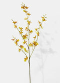 42in Long Tiger Orchid Spray, Case of 12 Decor Jamali Garden