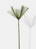 43.5in Long Cypress Branch, Case of 12 Decor Jamali Garden
