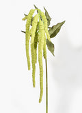 43in Long Green Amaranthus Ponytails, Case of 6 Decor Jamali Garden
