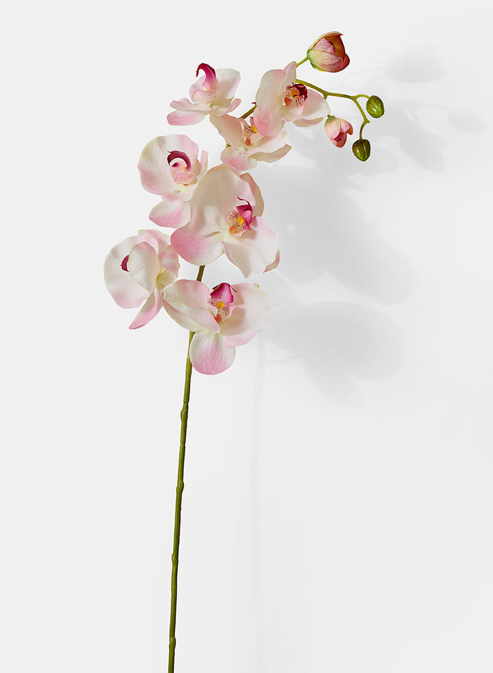 43in Long Light Pink Phalaenopsis Orchid Spray, Case of 12 Decor Jamali Garden