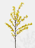 43in Long Winter Jasmine, Case of 6 Decor Jamali Garden