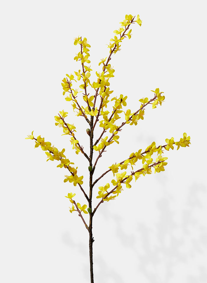 43in Long Winter Jasmine, Case of 6 Decor Jamali Garden