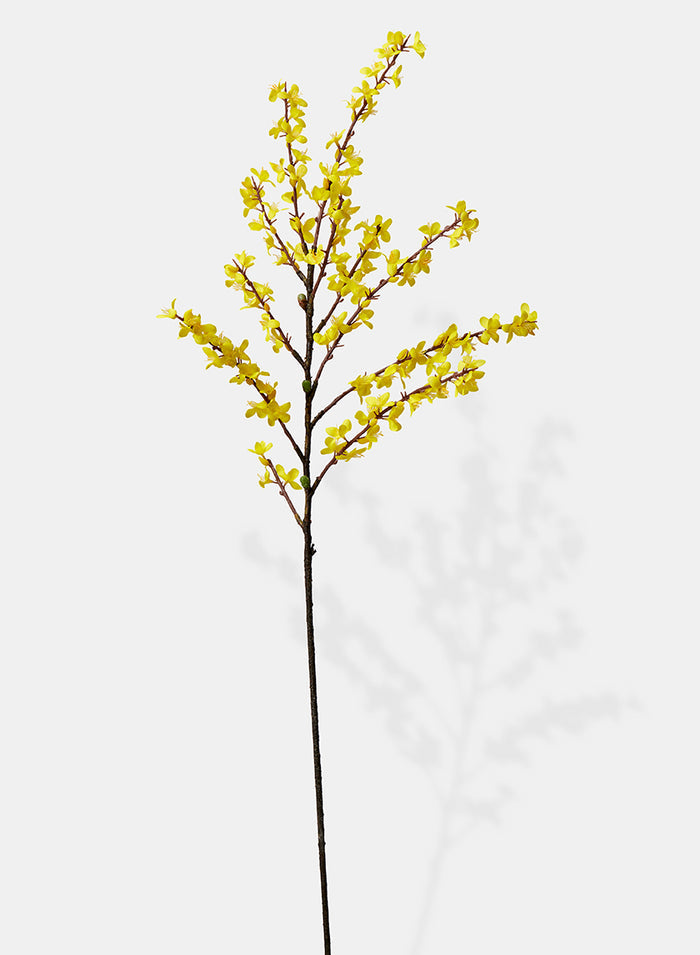 43in Long Winter Jasmine, Case of 6 Decor Jamali Garden