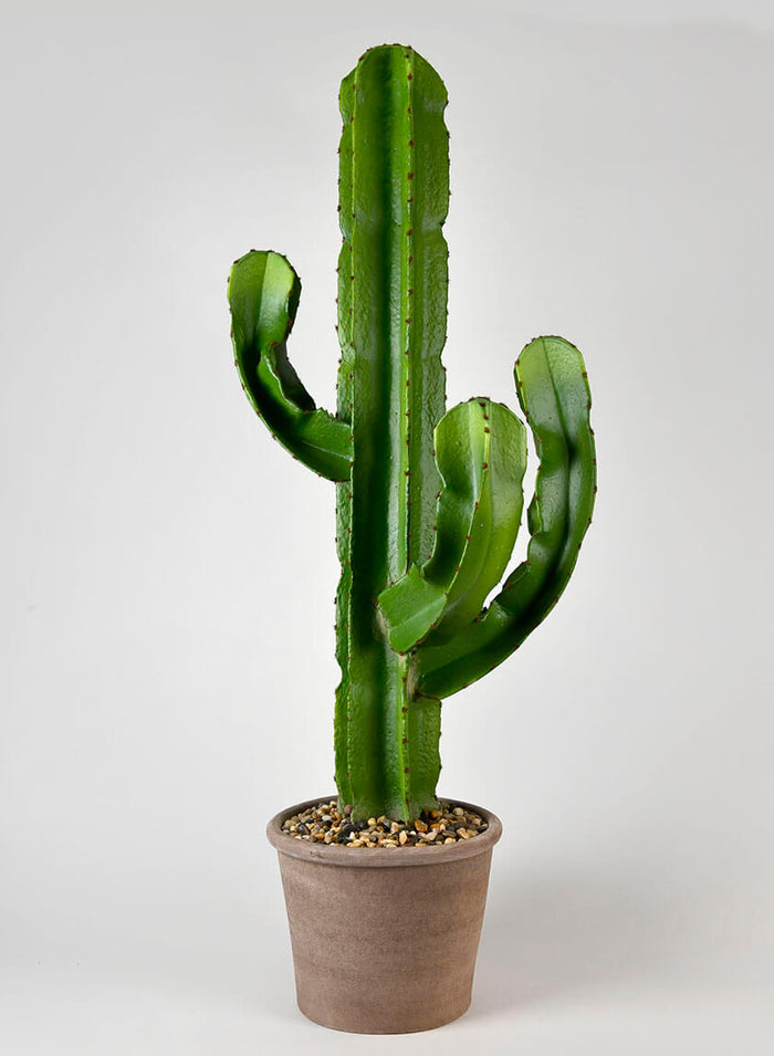 44in Tall Candelabra Cactus Decor Jamali Garden