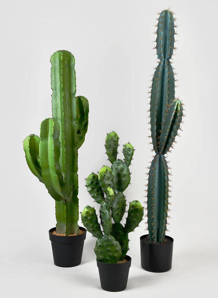 44in Tall Candelabra Cactus Decor Jamali Garden