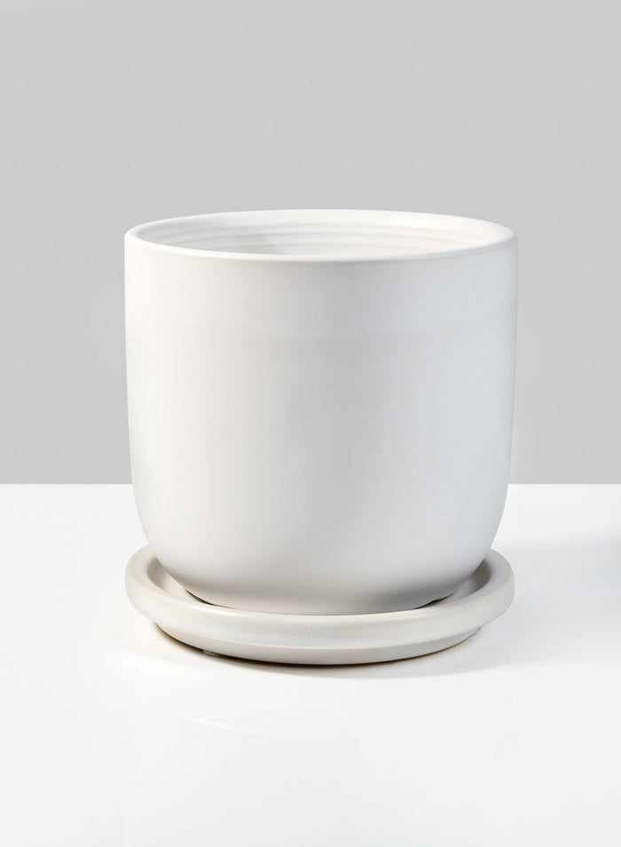4.5in Tall Aeon Ceramic Pot & Saucer Decor Jamali Garden