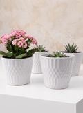 4.5in Tall Florist Choice White Ceramic Cachepot, Set of 4 Decor Jamali Garden