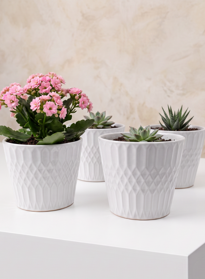 4.5in Tall Florist Choice White Ceramic Cachepot, Set of 4 Decor Jamali Garden