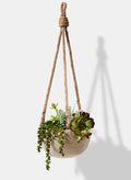 4.5in Tall Hanging Paulownia Wood Bowl Decor Jamali Garden