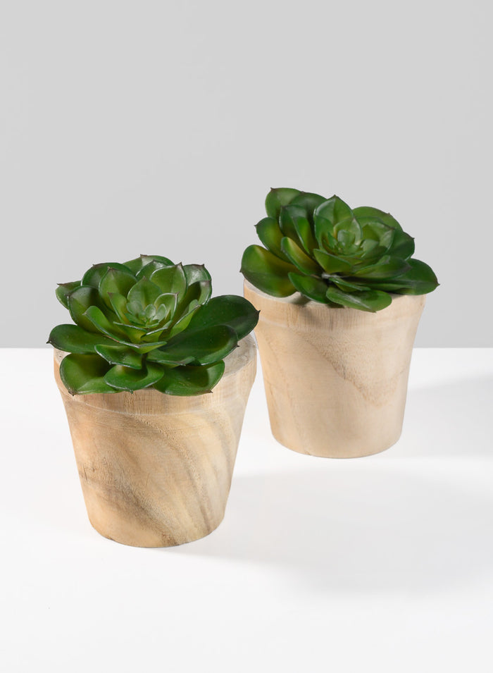 4.5in Tall Paulownia Wood Pot, Set of 2 Decor Jamali Garden