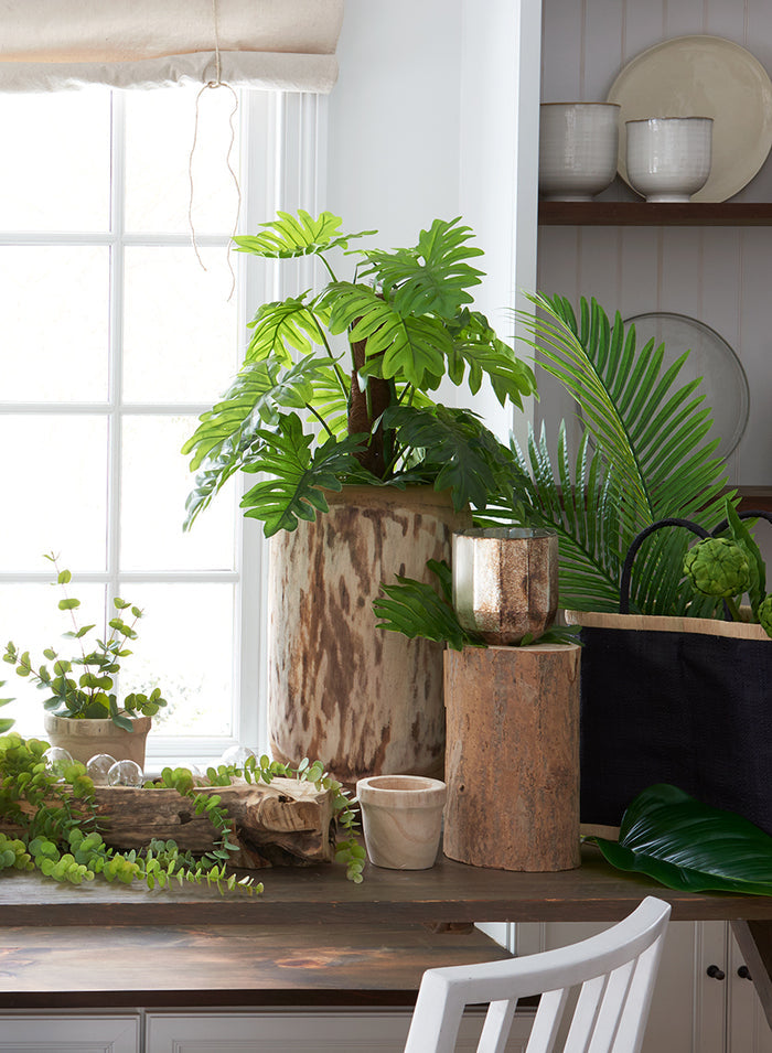 4.5in Tall Paulownia Wood Pot, Set of 2 Decor Jamali Garden