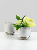 4.75in Tall Artisan Rustic White Pot, Set of 2 Decor Jamali Garden