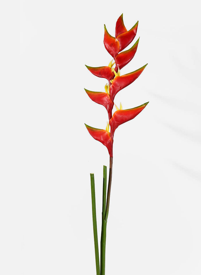 47in Long Heliconia Decor Jamali Garden