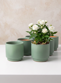 4in Tall Florist Choice Matte Teal Green Ceramic Cachepot, Set of 6 Decor Jamali Garden