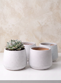 4in Tall Florist Choice Matte White Bell Ceramic Cachepot, Set of 4 Decor Jamali Garden
