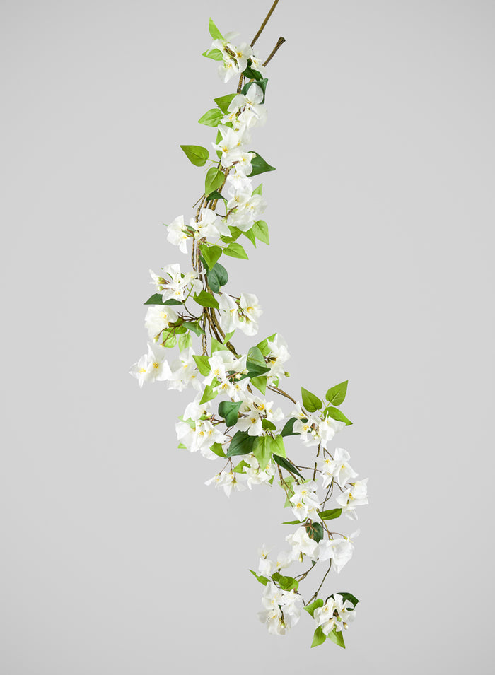 50in Long White Bougainvillea Vine, Case of 6 Decor Jamali Garden