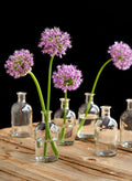 5.25in Tall Clear Medicine Bottle Bud Glass Vase, Set of 6 Decor Jamali Garden