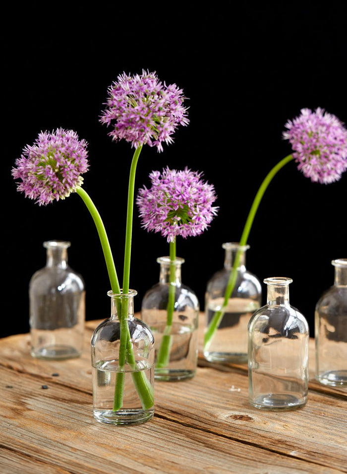 5.25in Tall Clear Medicine Bottle Bud Glass Vase, Set of 6 Decor Jamali Garden