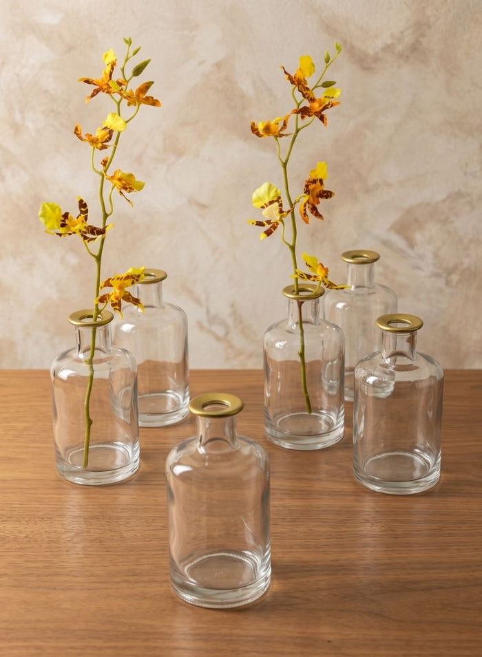 5.25in Tall Jolie Gold Rim Glass Bud Vase, Set of 6 Decor Jamali Garden