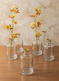5.25in Tall Jolie Gold Rim Glass Bud Vase, Set of 6 Decor Jamali Garden