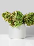 5.25in Tall White Ceramic Potter's Bowl Decor Jamali Garden