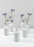 5.5in Tall Acapulco White Sandstone Bud Vase, Set of 6 Decor Jamali Garden