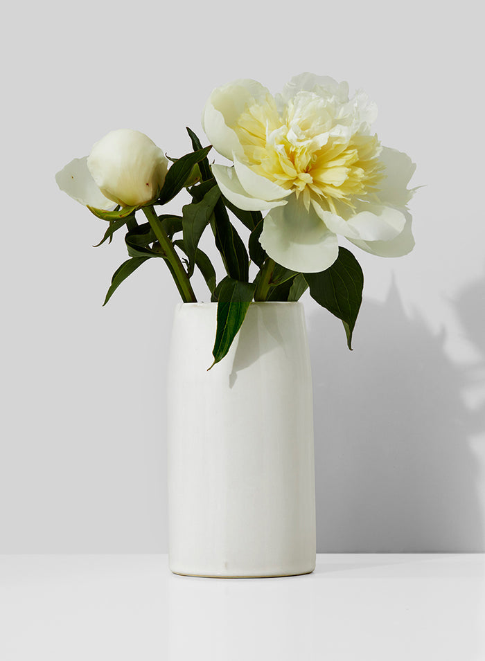 5.5in Tall White Ceramic Potter's Vase Decor Jamali Garden