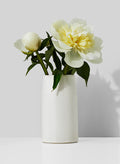 5.5in Tall White Ceramic Potter's Vase Decor Jamali Garden