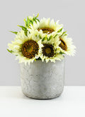 5.75in Tall Crackled Cement Pot Decor Jamali Garden