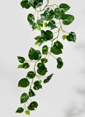 59in Long Devil's Ivy Vine, Case of 12 Decor Jamali Garden