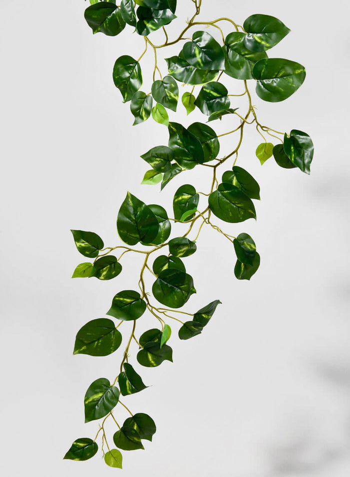 59in Long Devil's Ivy Vine, Case of 12 Decor Jamali Garden