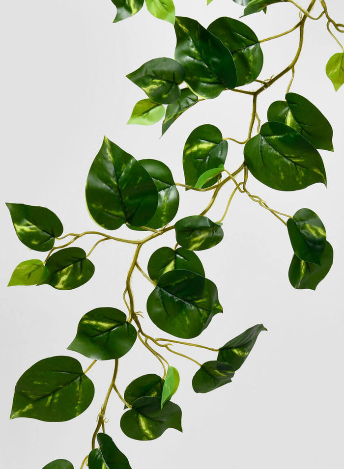 59in Long Devil's Ivy Vine, Case of 12 Decor Jamali Garden
