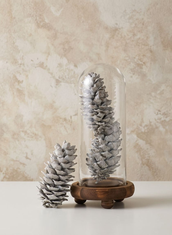 5in / 5.5in Long White-Washed Pinecones, Case of 3 Decor Jamali Garden