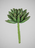 5in Long Senecio Succulent Pick, Case of 12 Decor Jamali Garden