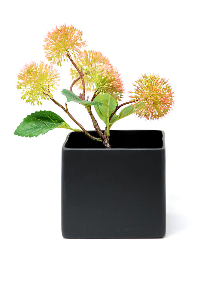 5in Tall Matte Black Ceramic Cube Decor Jamali Garden