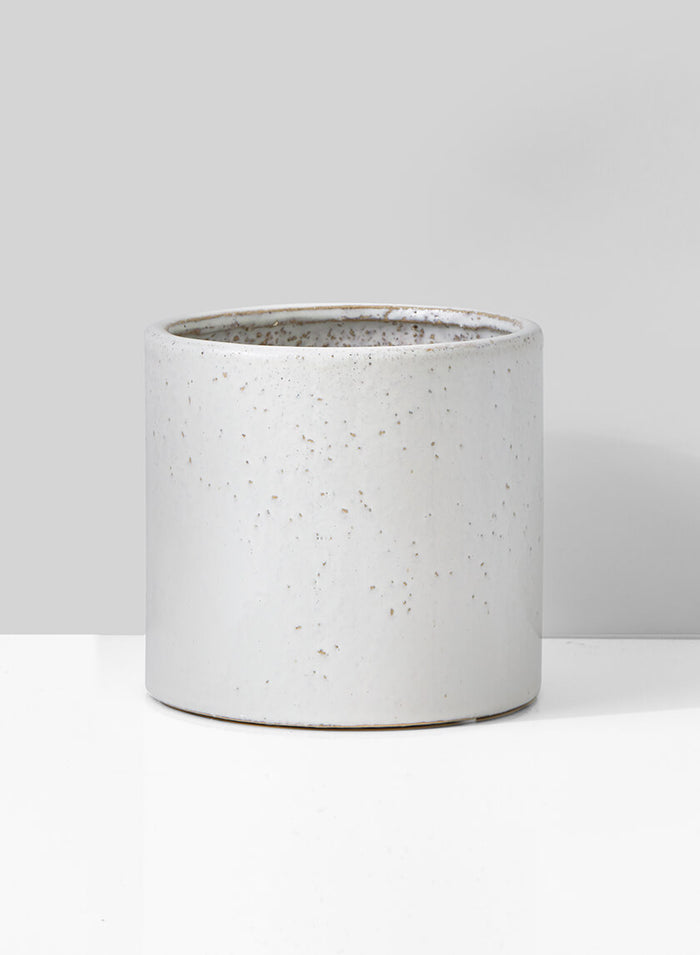 6.5in Tall Ceramic Round Cachepot Decor Jamali Garden
