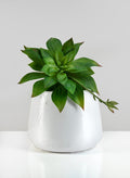 6.5in Tall Krater Aged White Artisan Pot Decor Jamali Garden