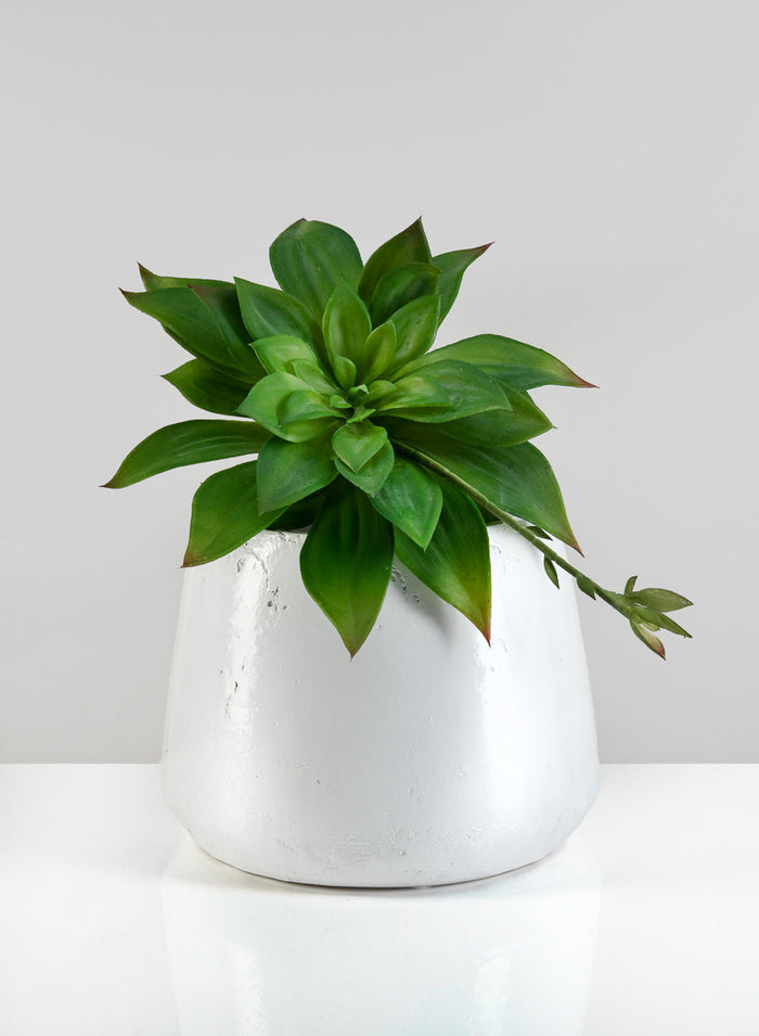 6.5in Tall Krater Aged White Artisan Pot Decor Jamali Garden