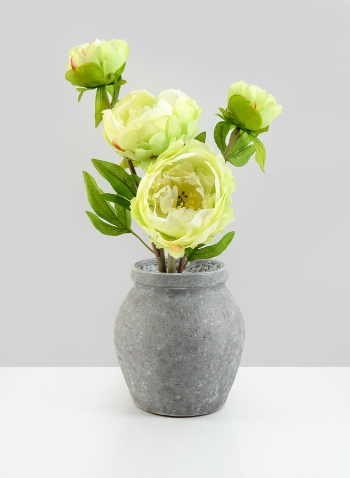 6in Tall Arita Aged Cement Amphora Vase Decor Jamali Garden