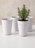 6in Tall Aurelie Rose Border Ceramic Cachepot, Set of 4 Decor Jamali Garden